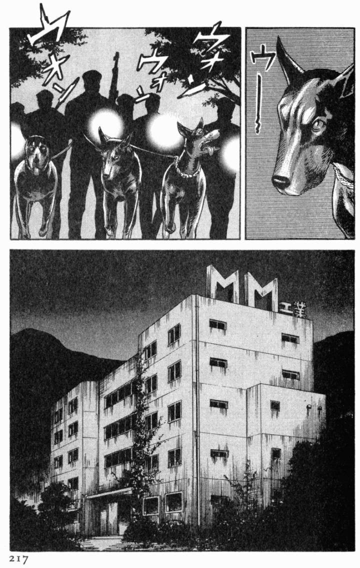 第213页