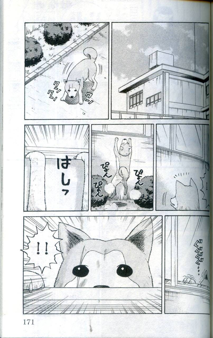 第170页
