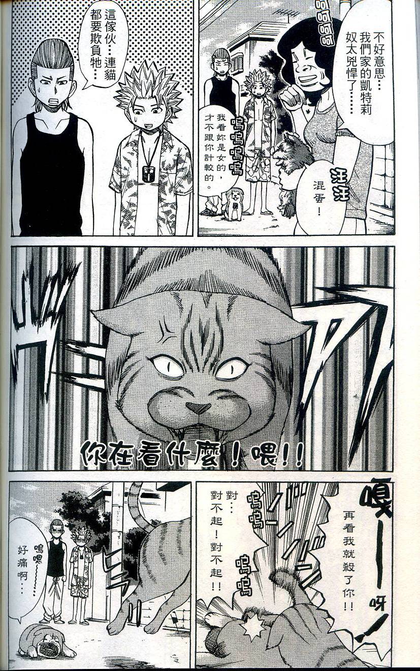 第176页