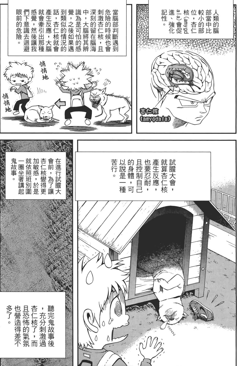 第56页