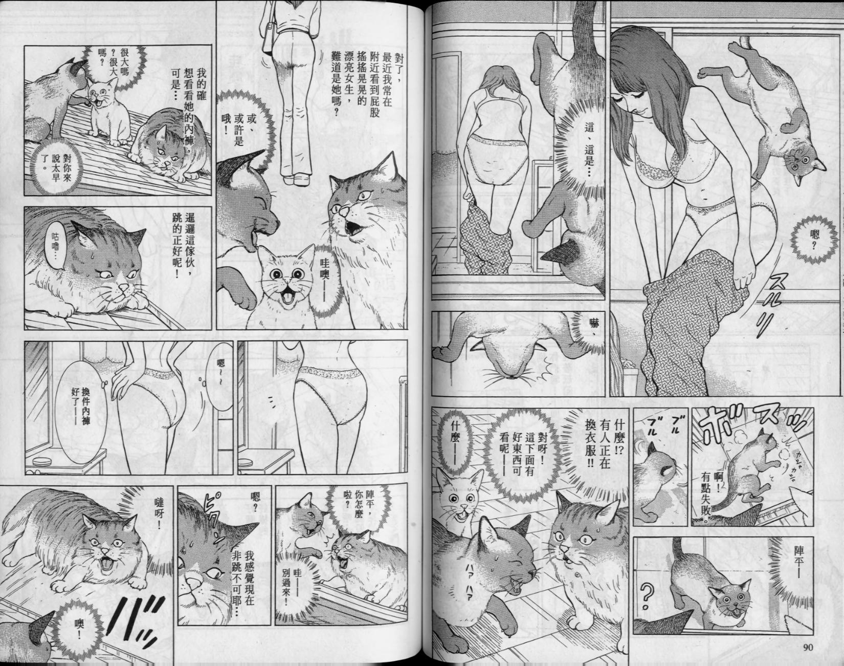 第42页