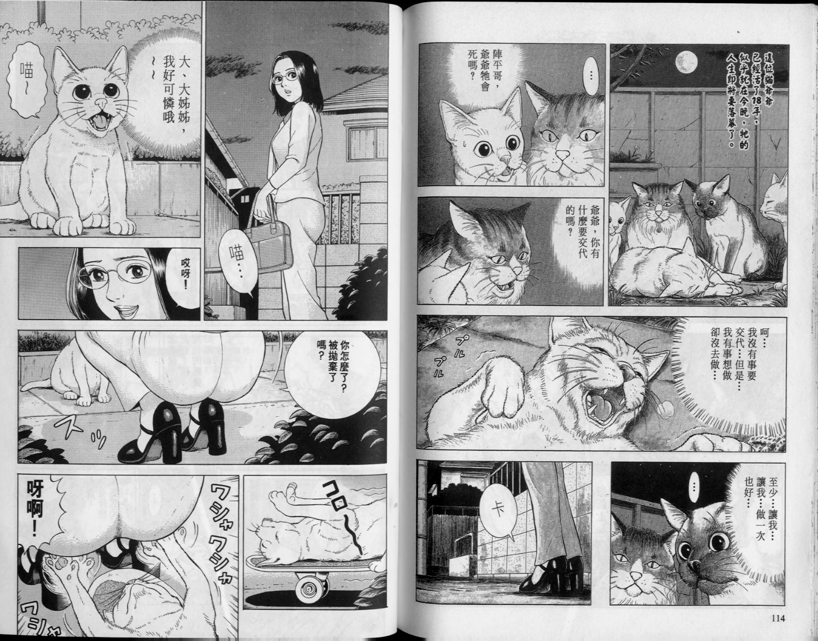 第53页
