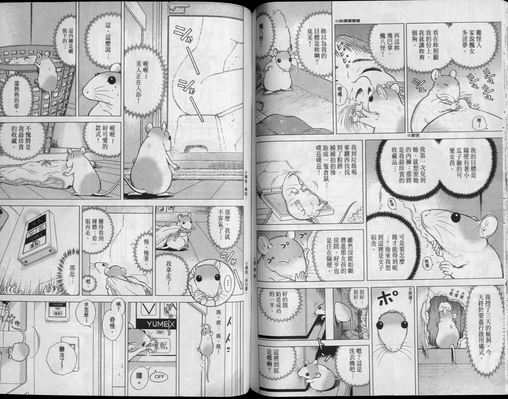 第51页