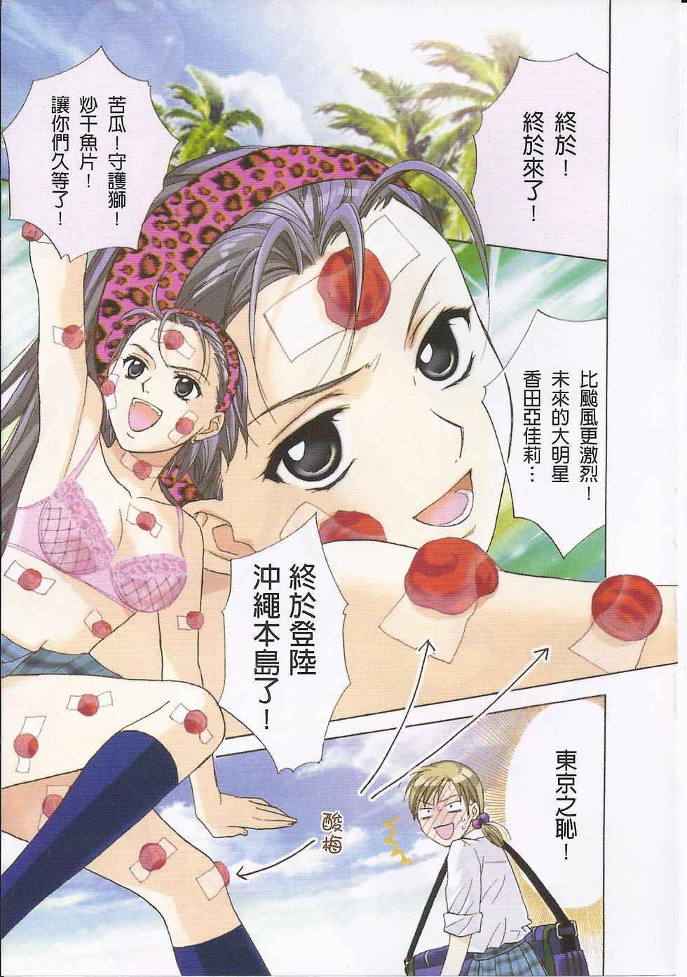 第3页