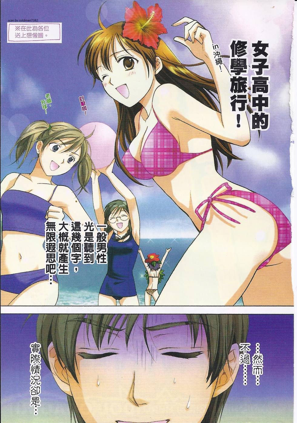 第3页
