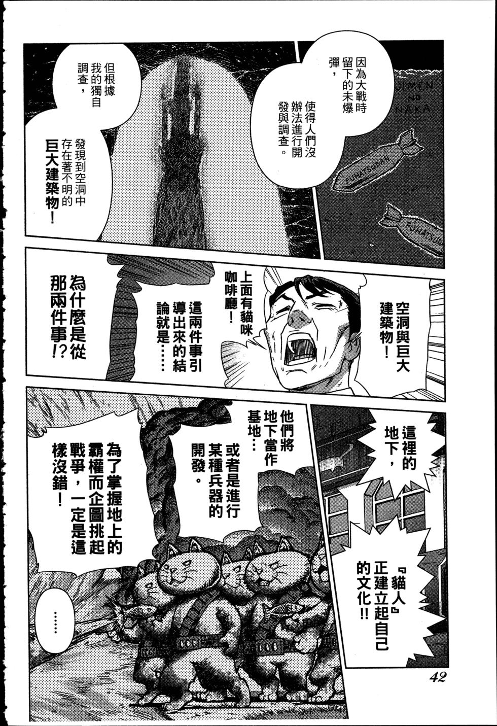 第42页