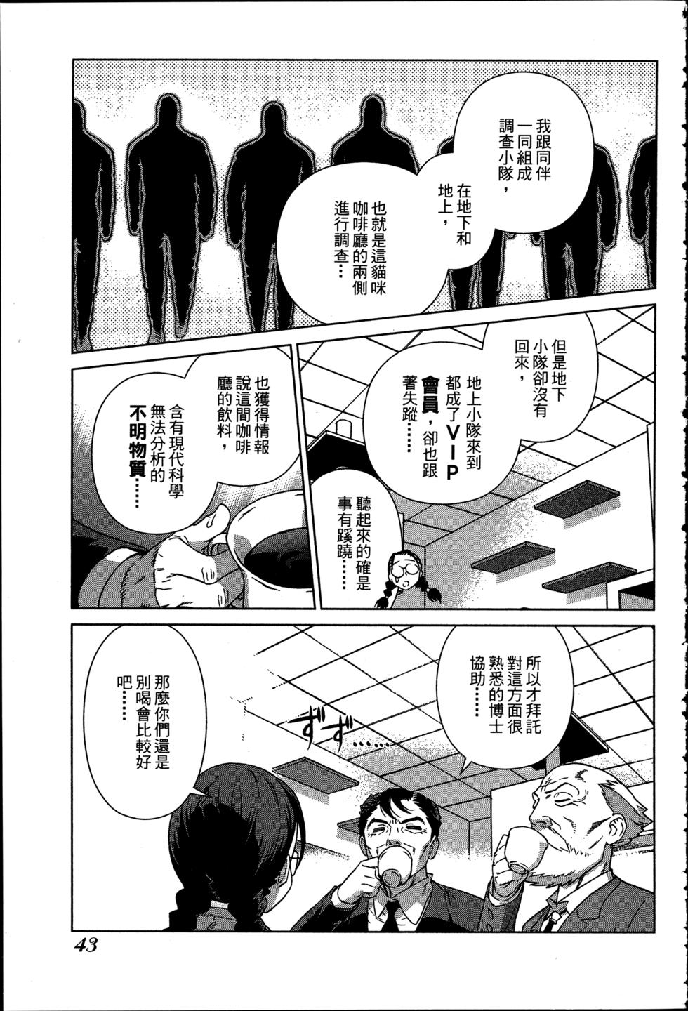 第43页