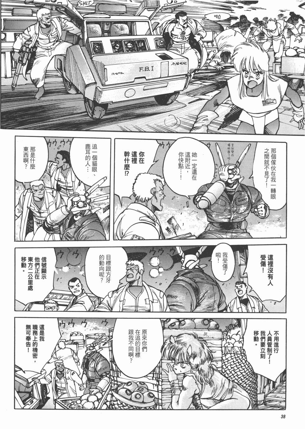 第38页