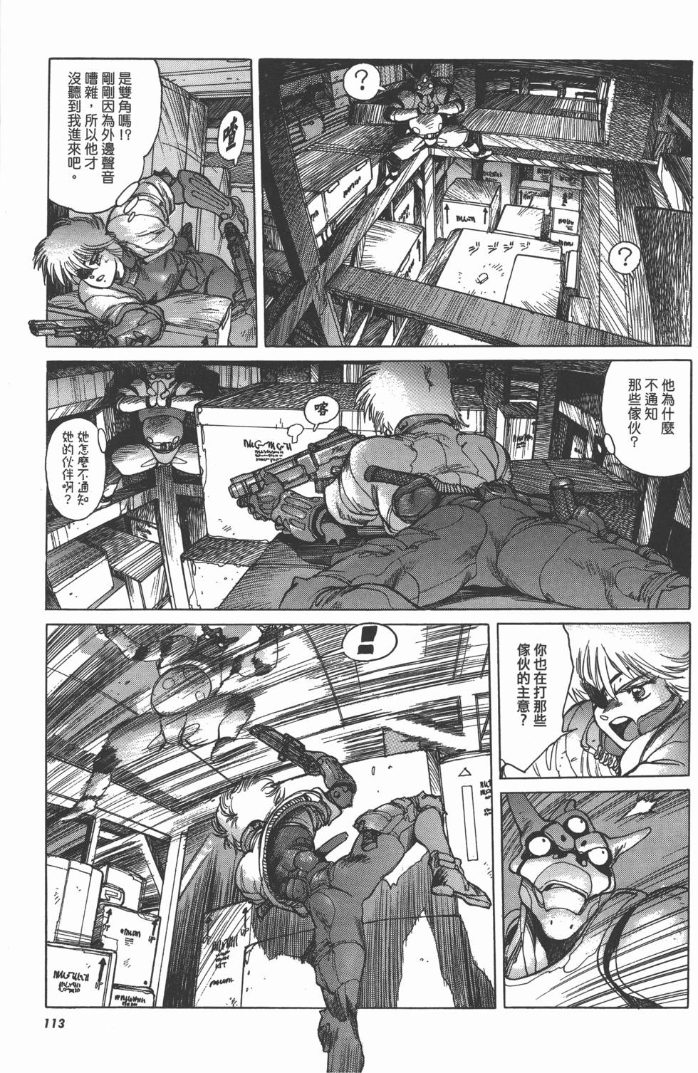 第113页