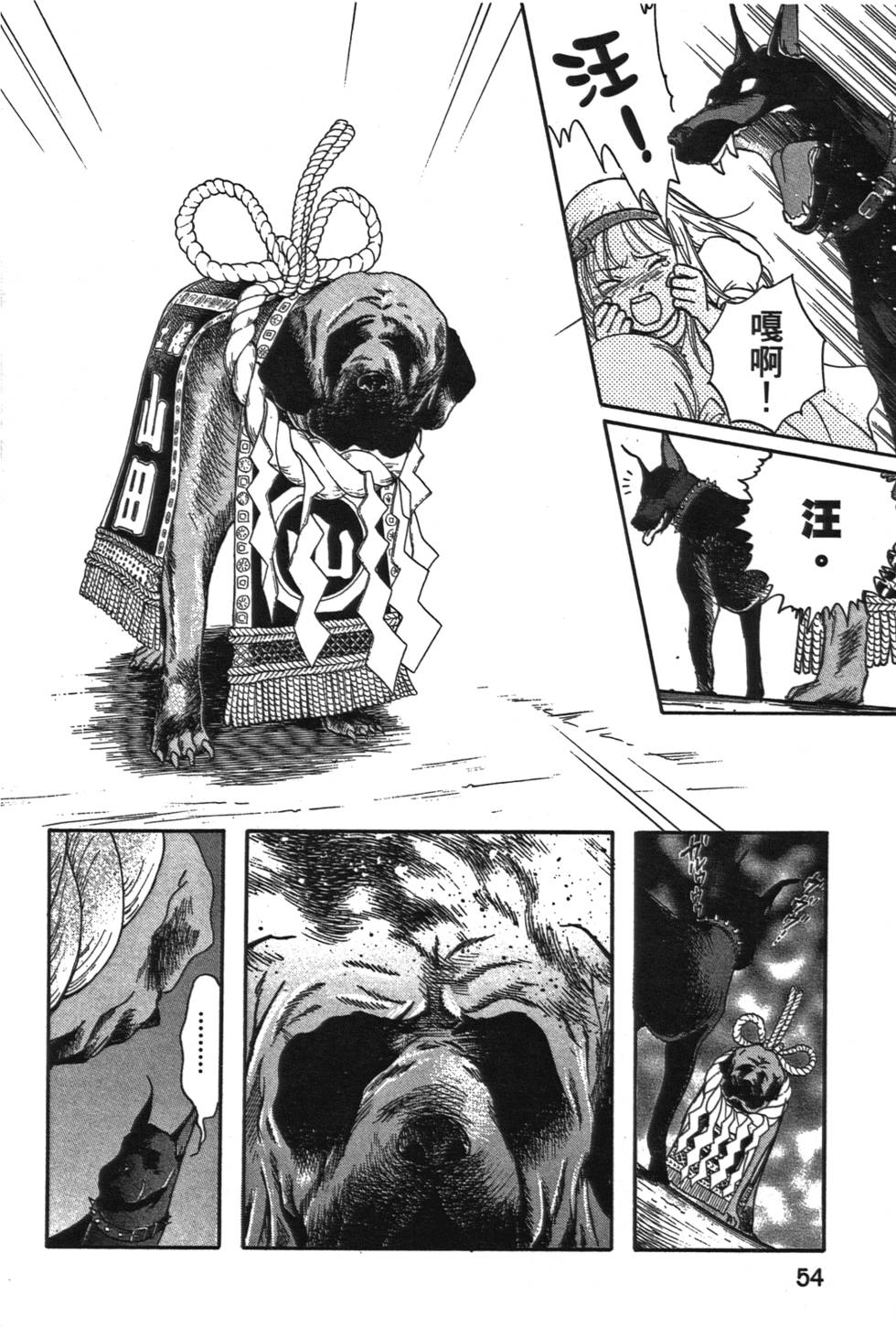 第53页