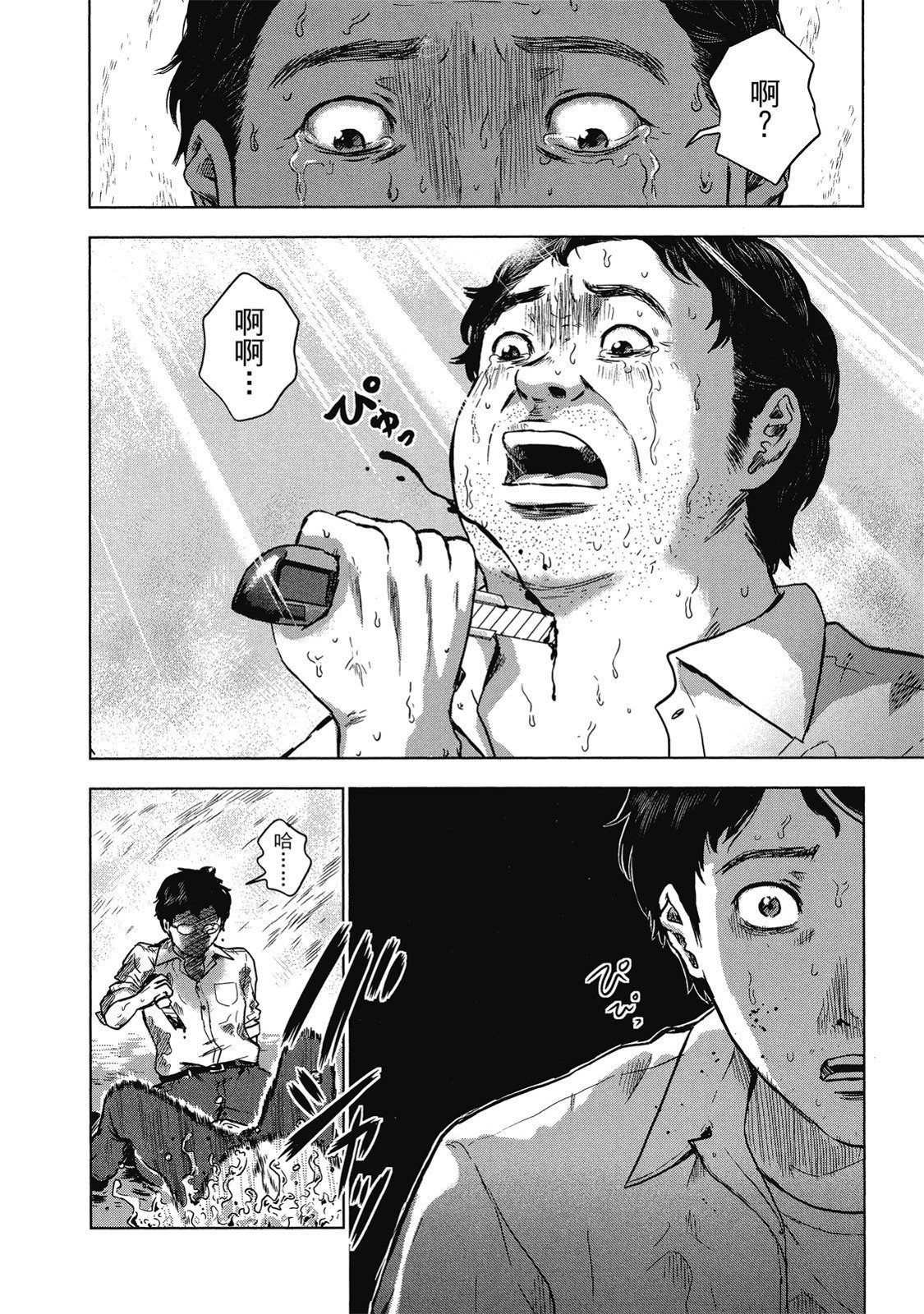 第231页