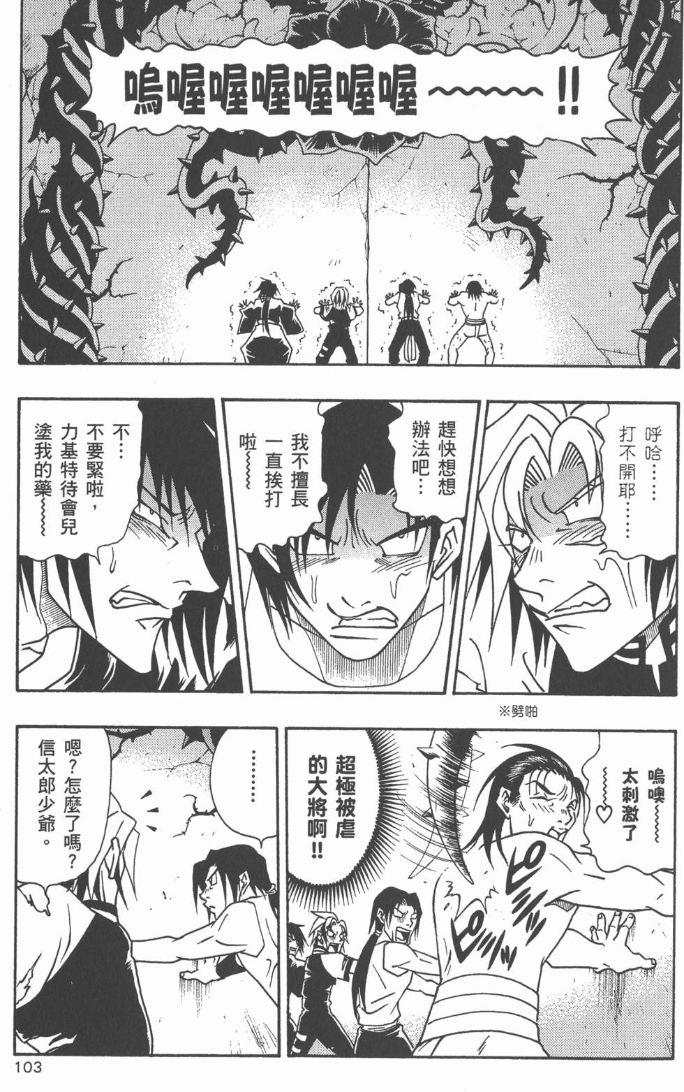 第101页