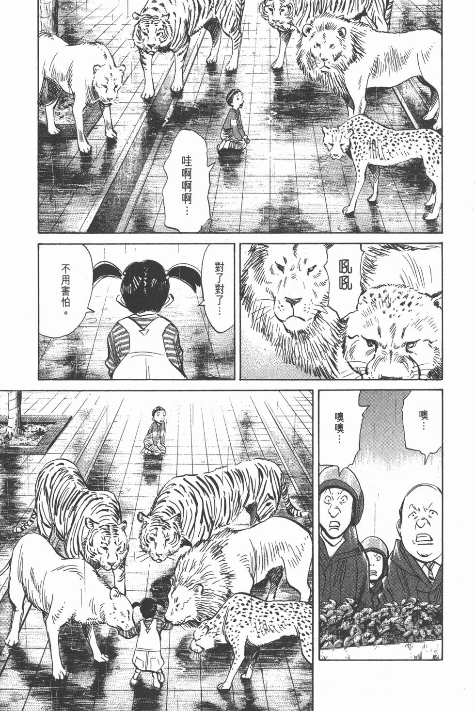 第204页
