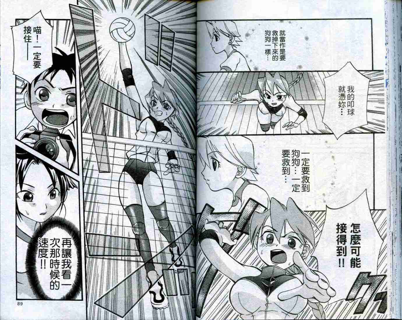 第41页