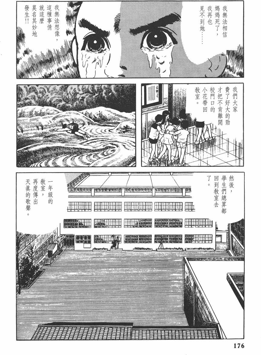 第175页