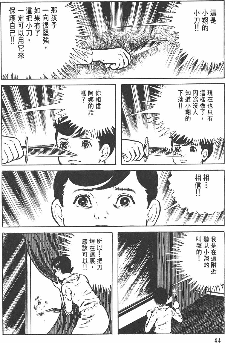 第43页