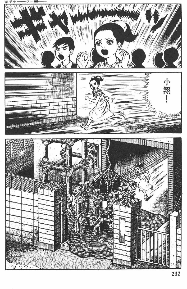 第231页