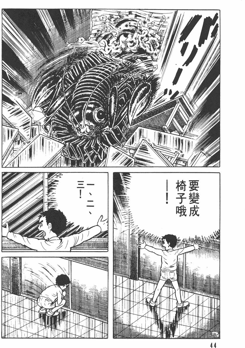 第43页