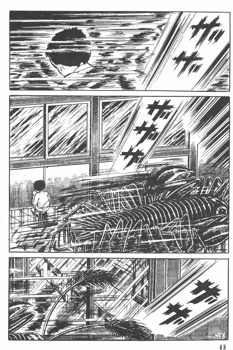 第47页