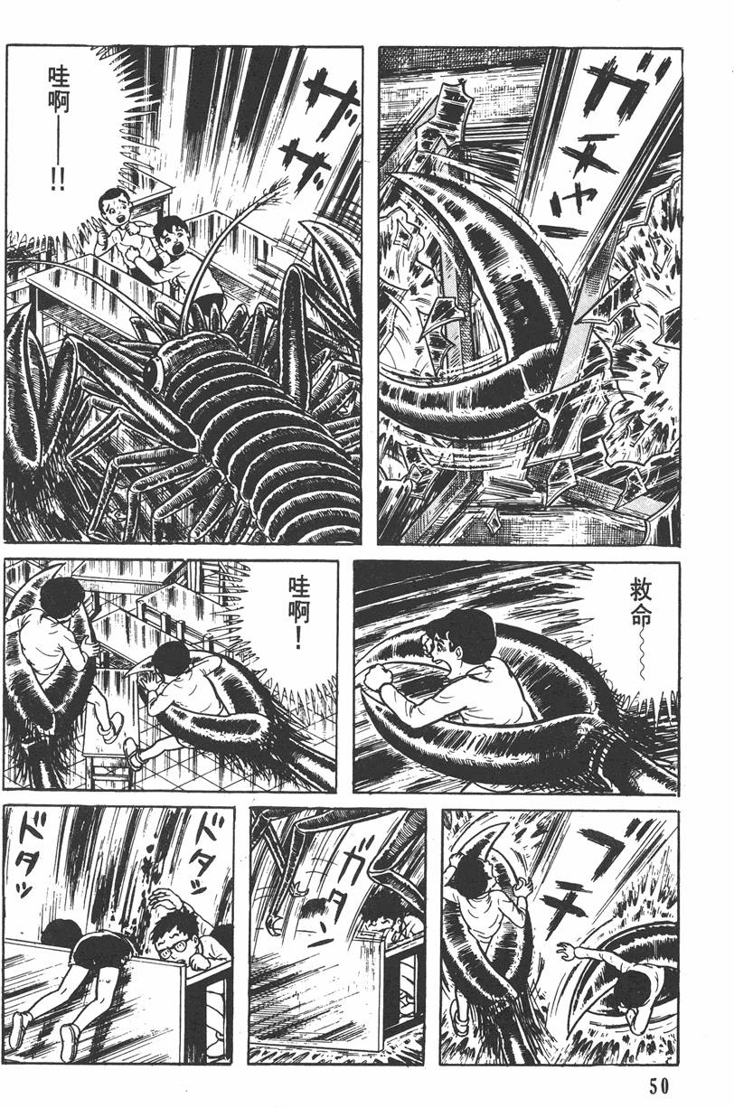 第49页