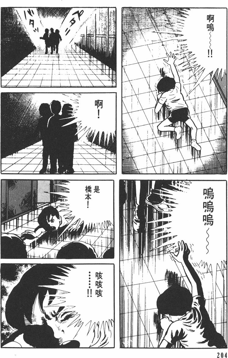 第203页