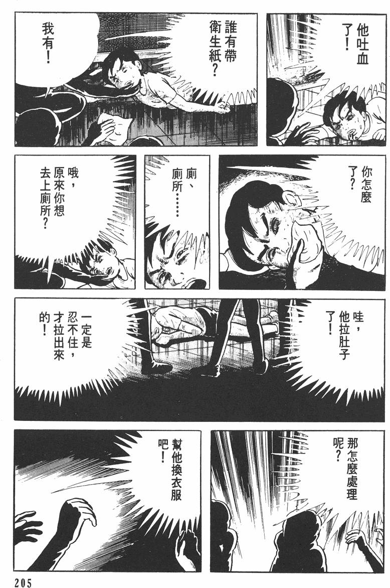 第204页