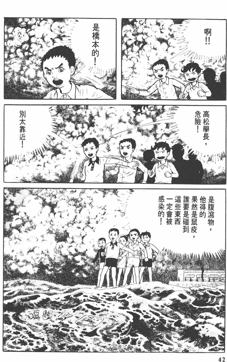 第41页