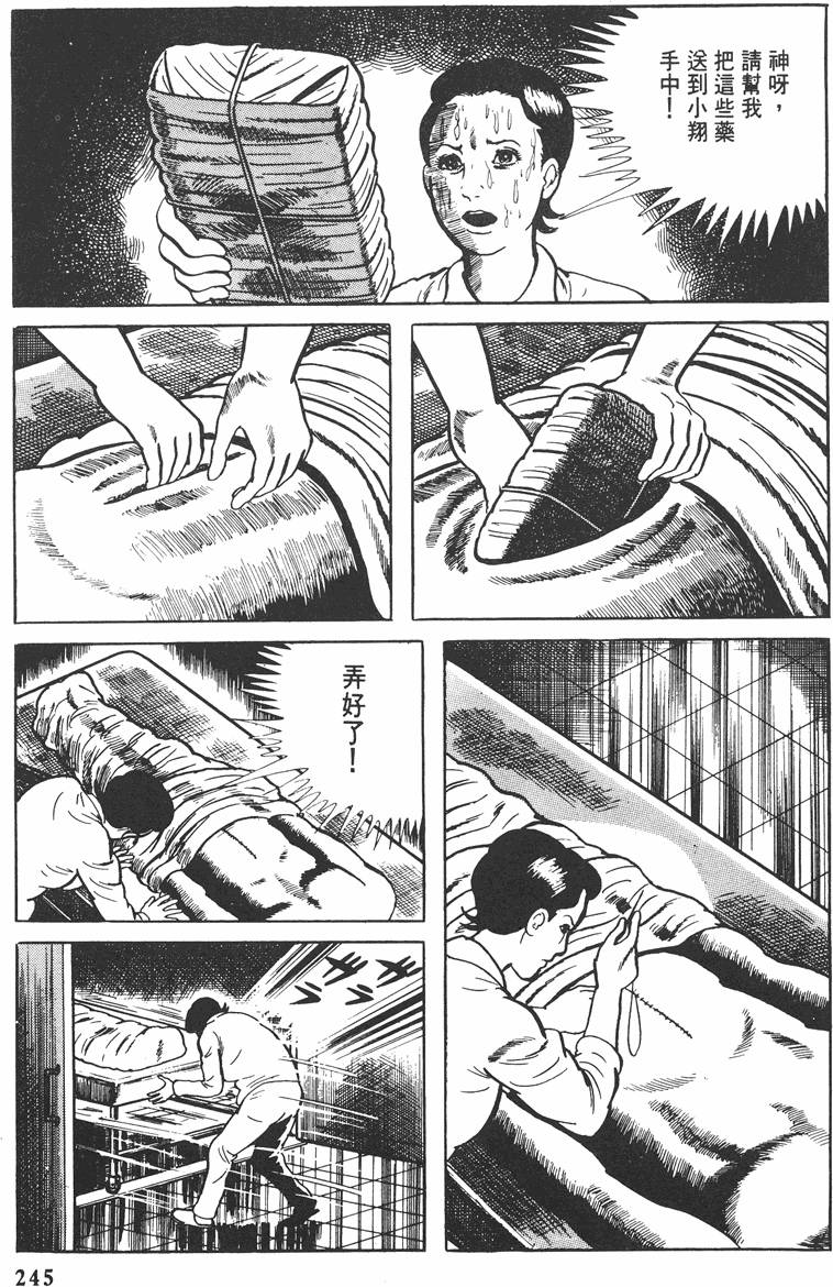 第244页