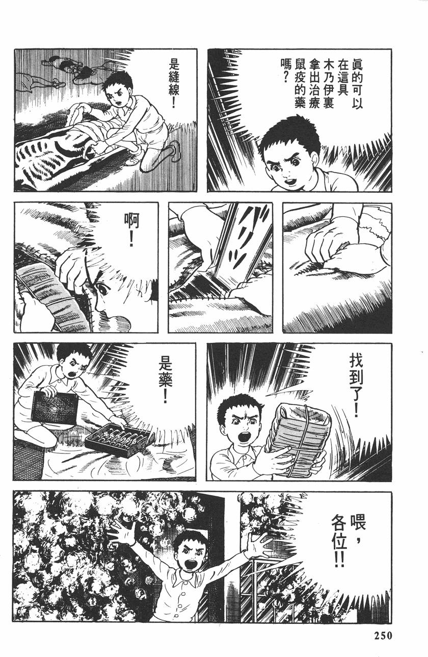 第249页