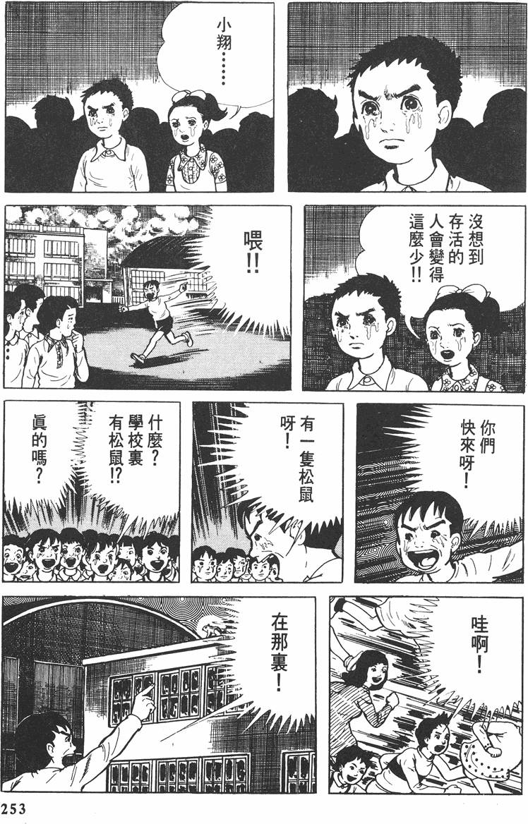 第252页