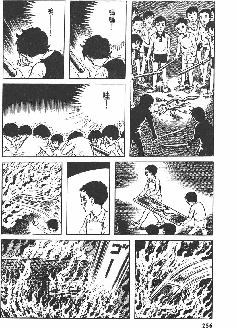 第255页