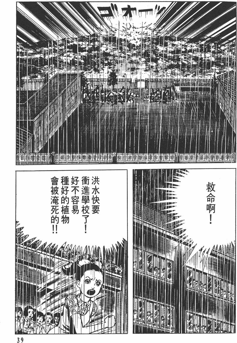 第38页