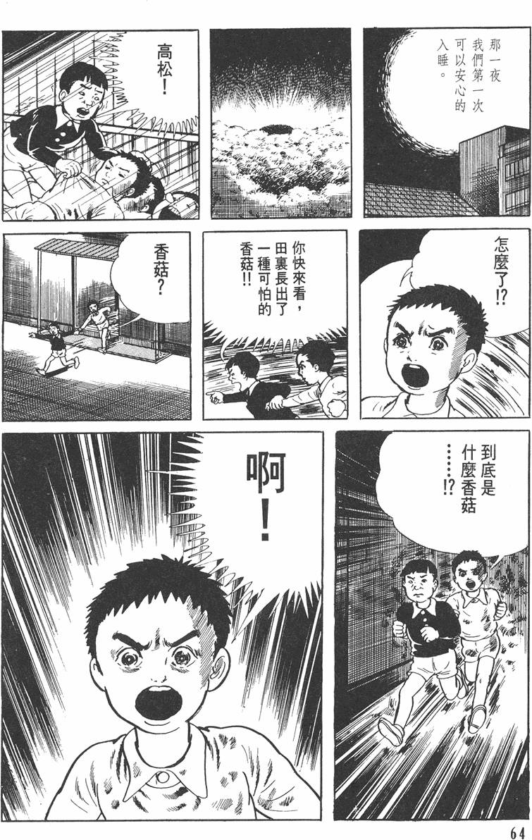 第63页
