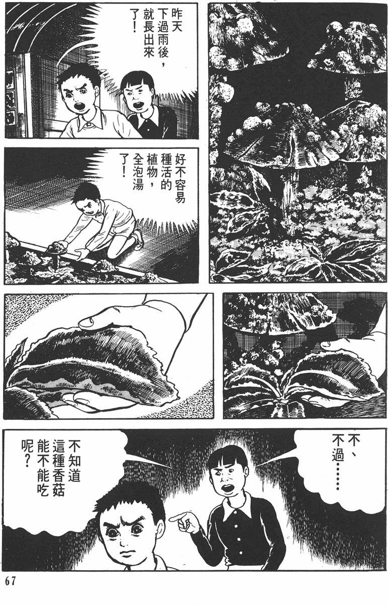 第66页