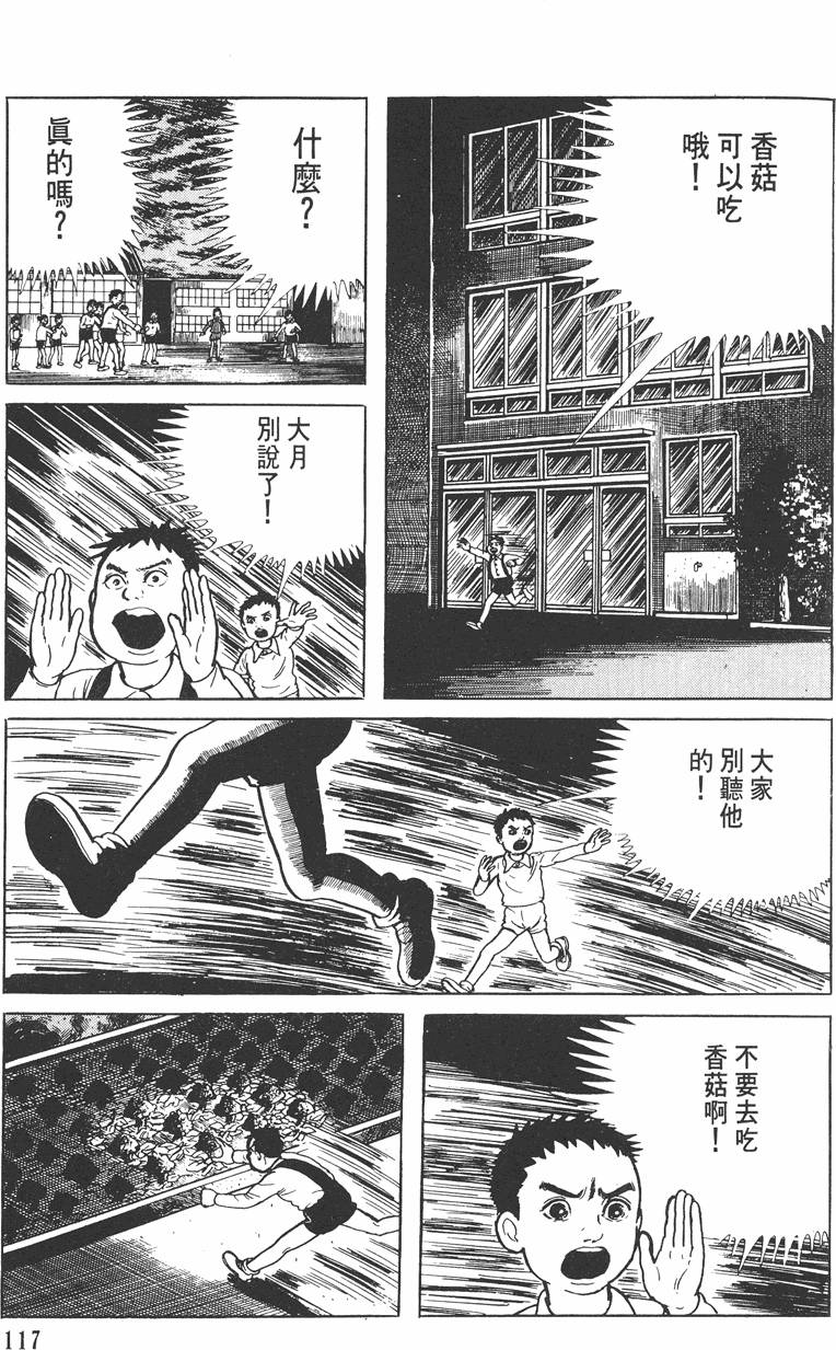 第116页