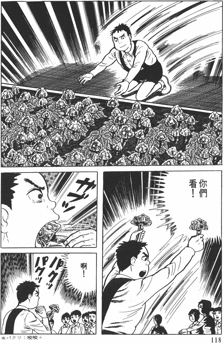 第117页