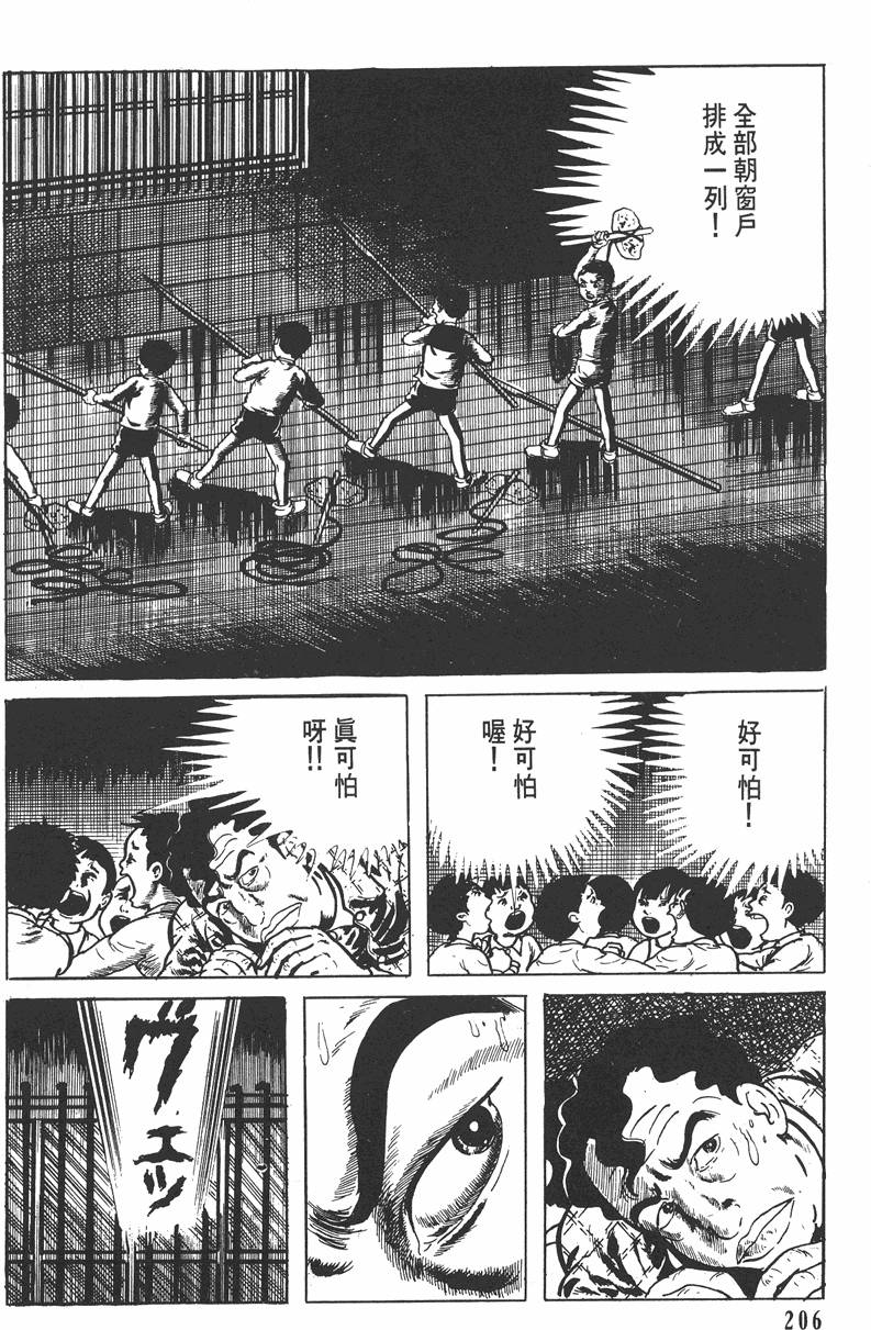 第205页