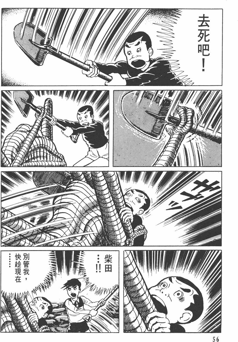 第55页