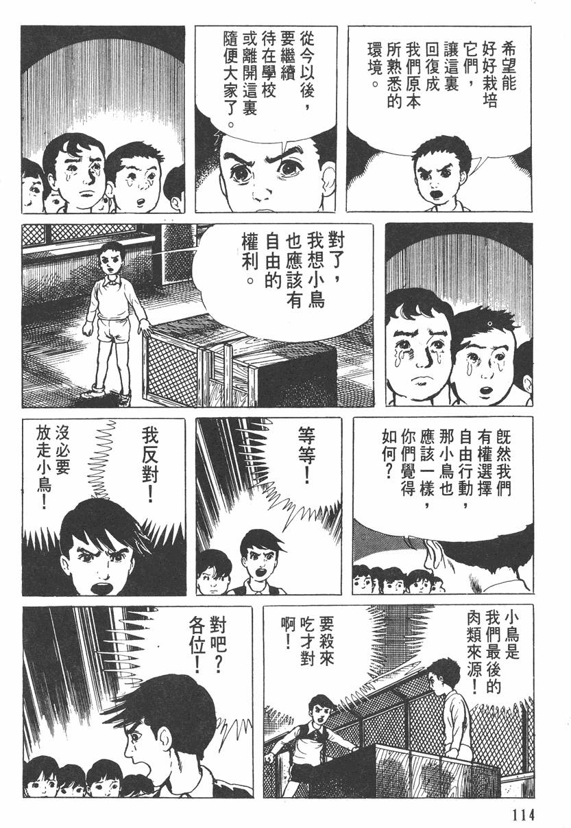 第113页