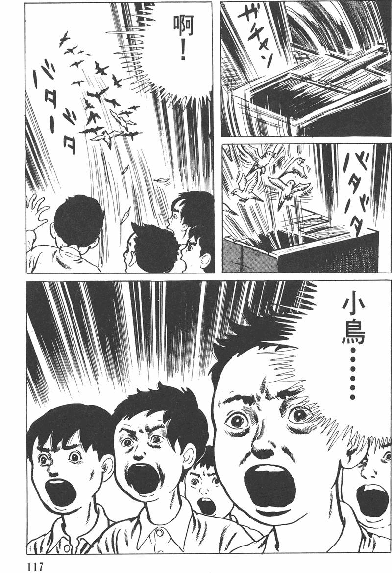 第116页
