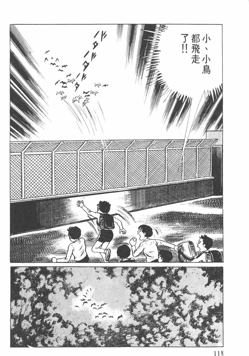 第117页