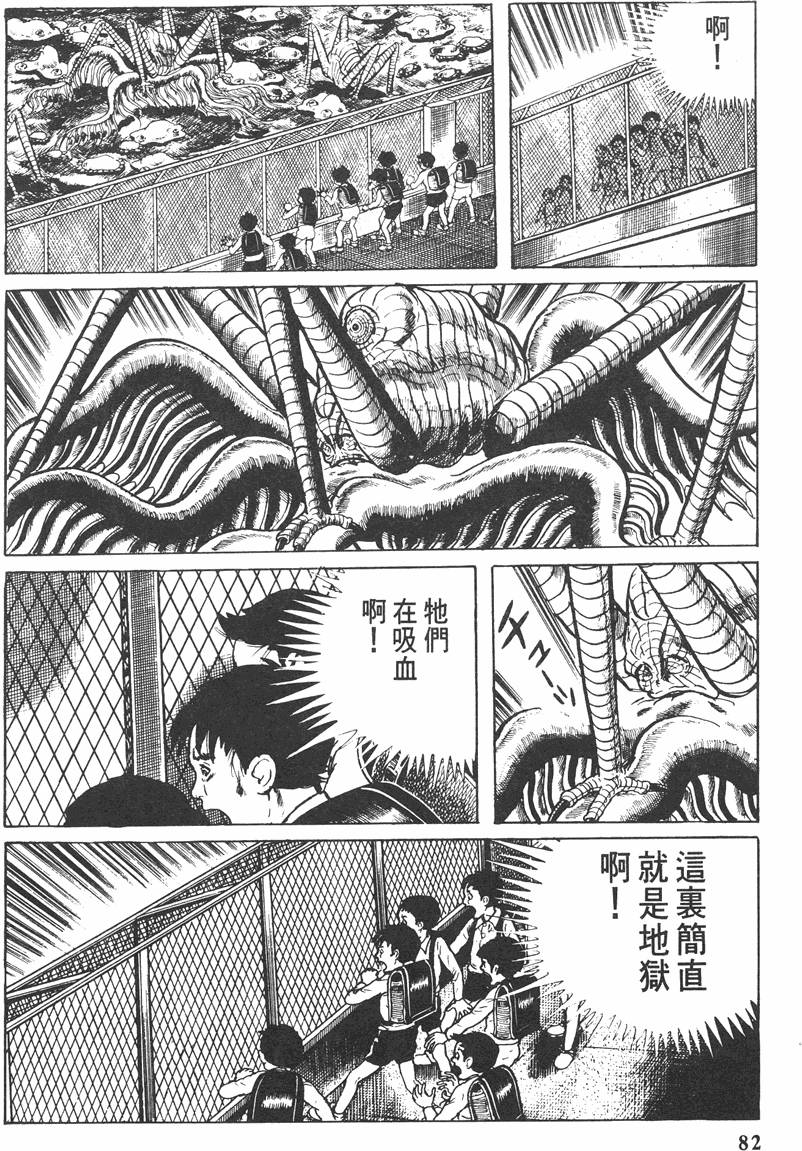 第81页