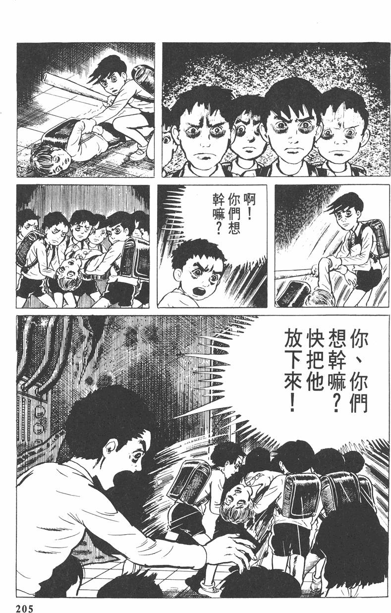 第204页