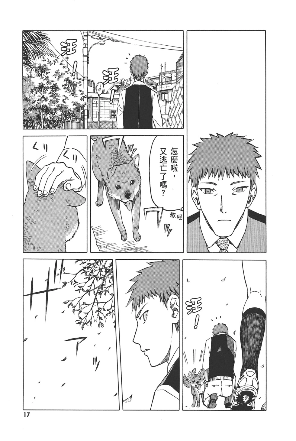 第19页