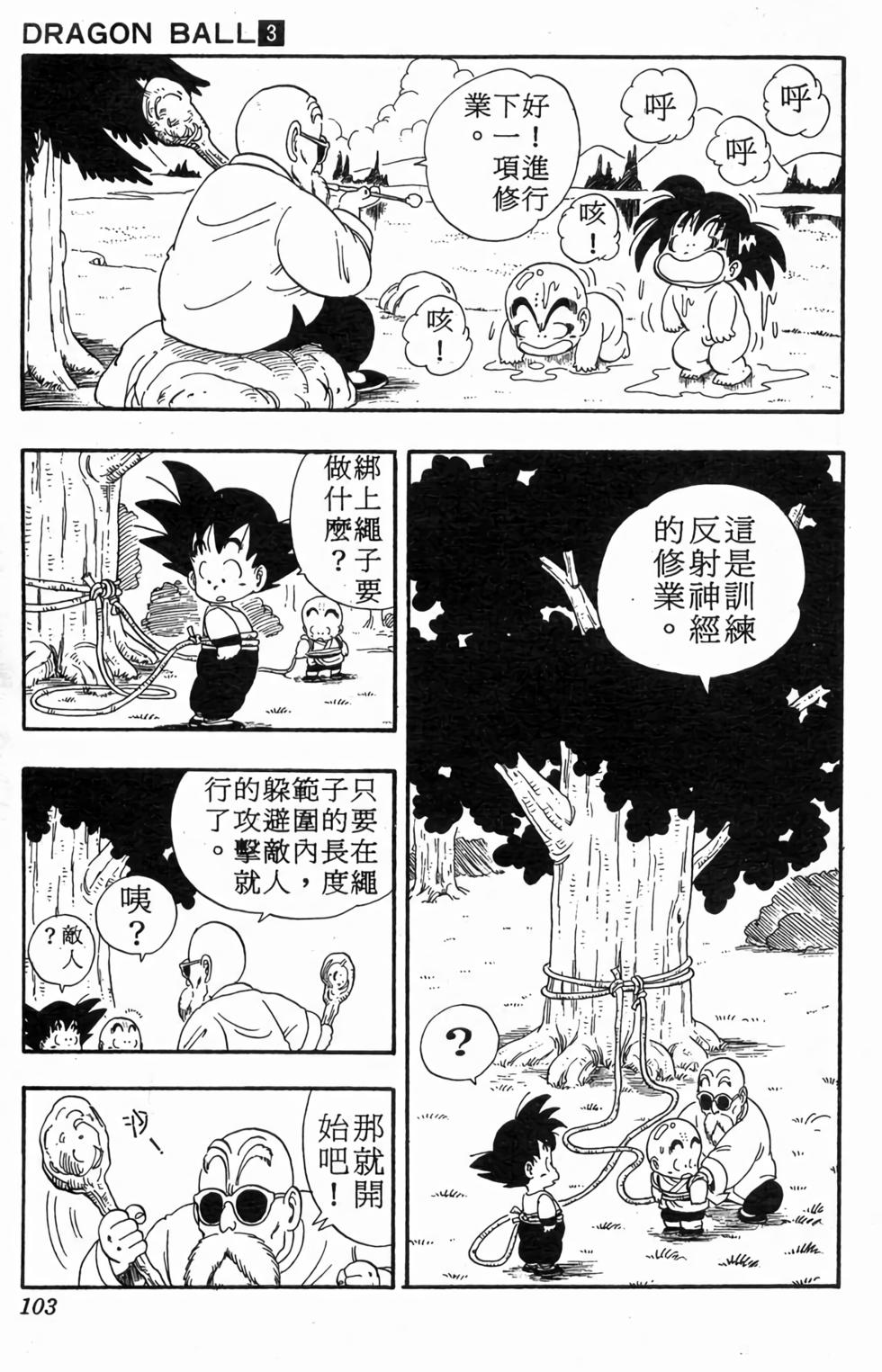 第101页