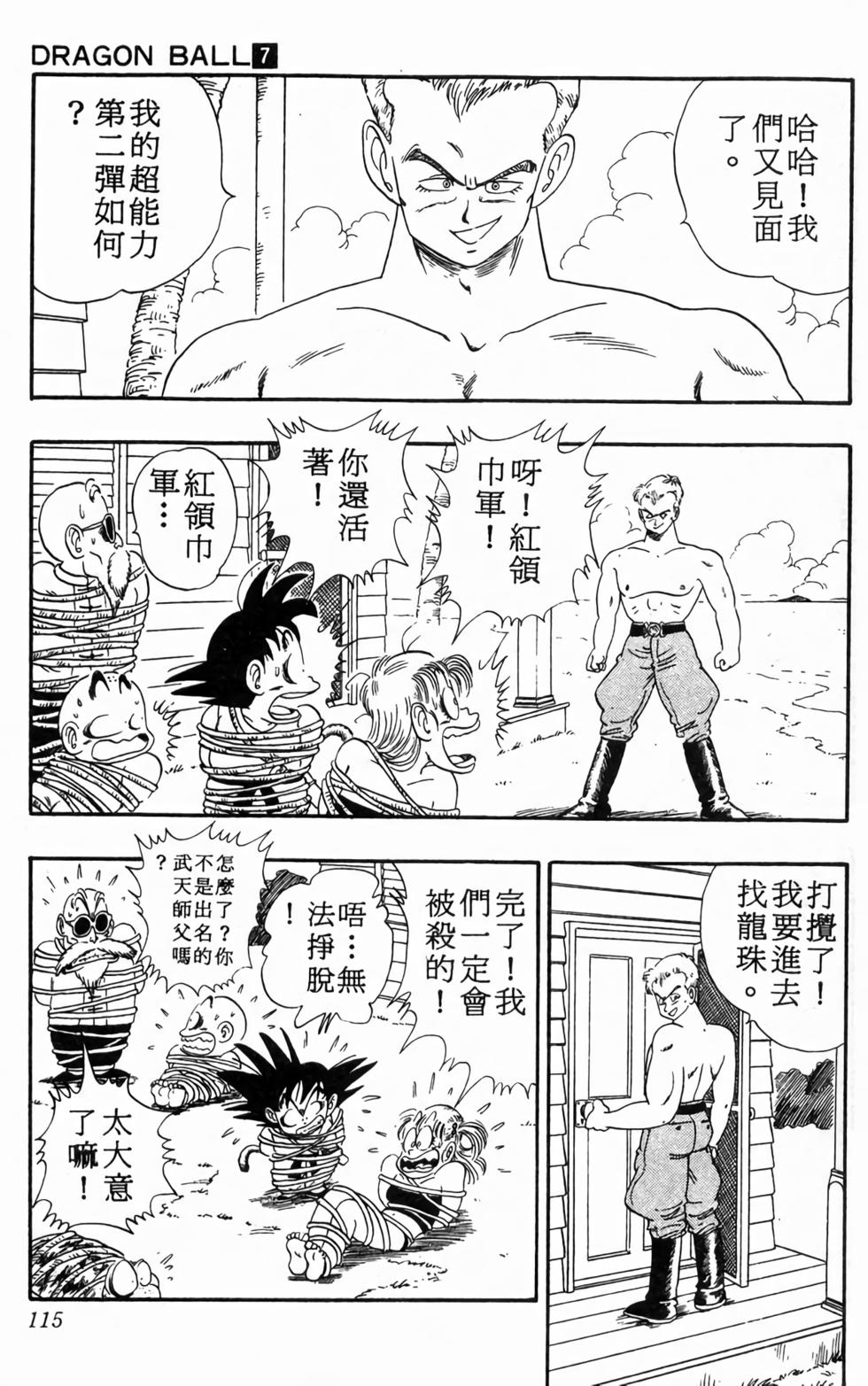 第113页