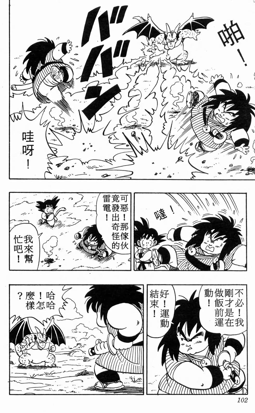 第100页