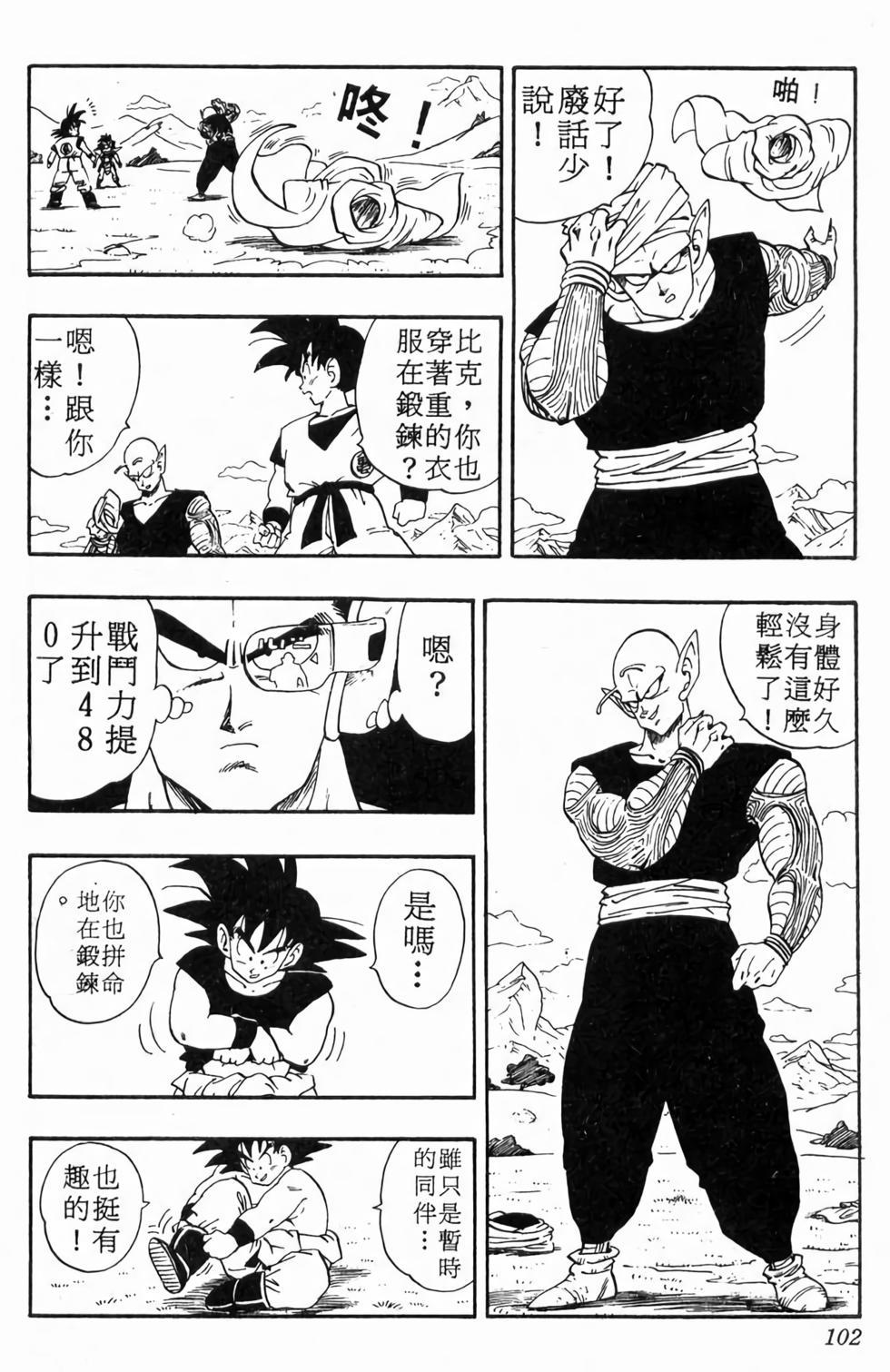 第100页