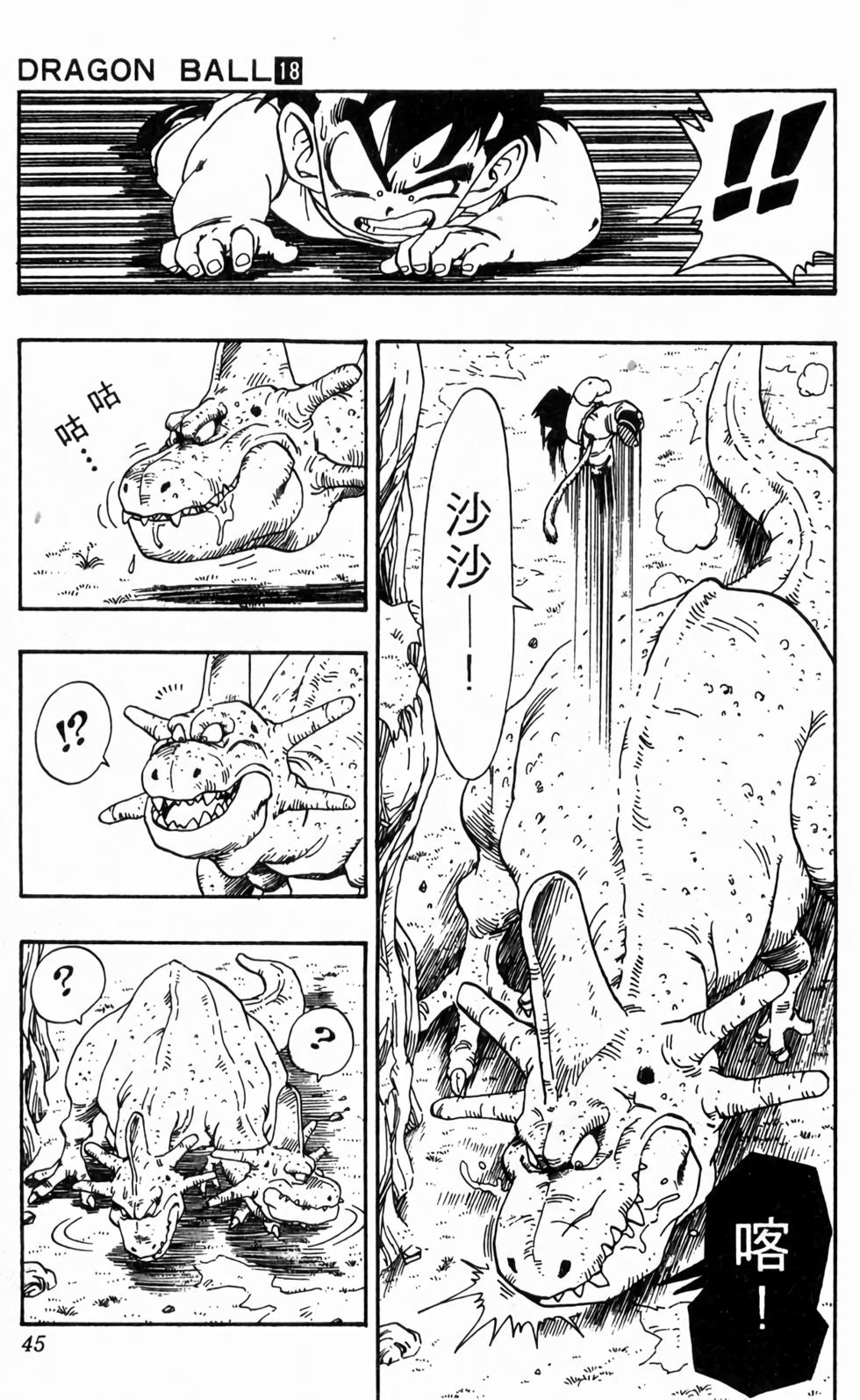 第43页
