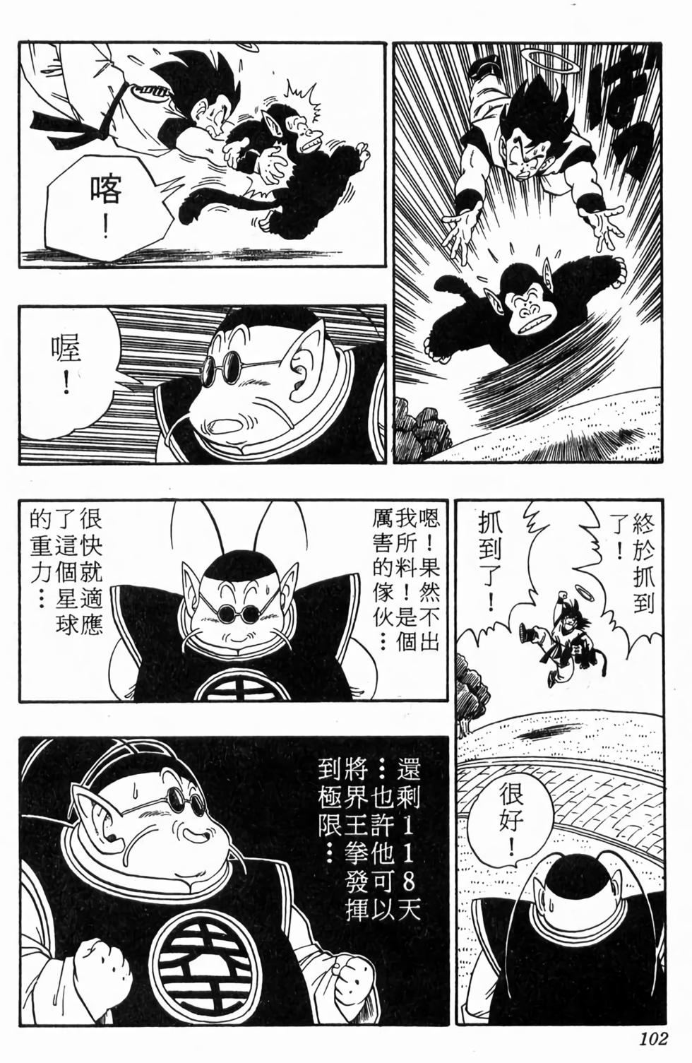 第100页